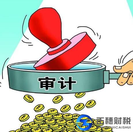 公司注冊審計